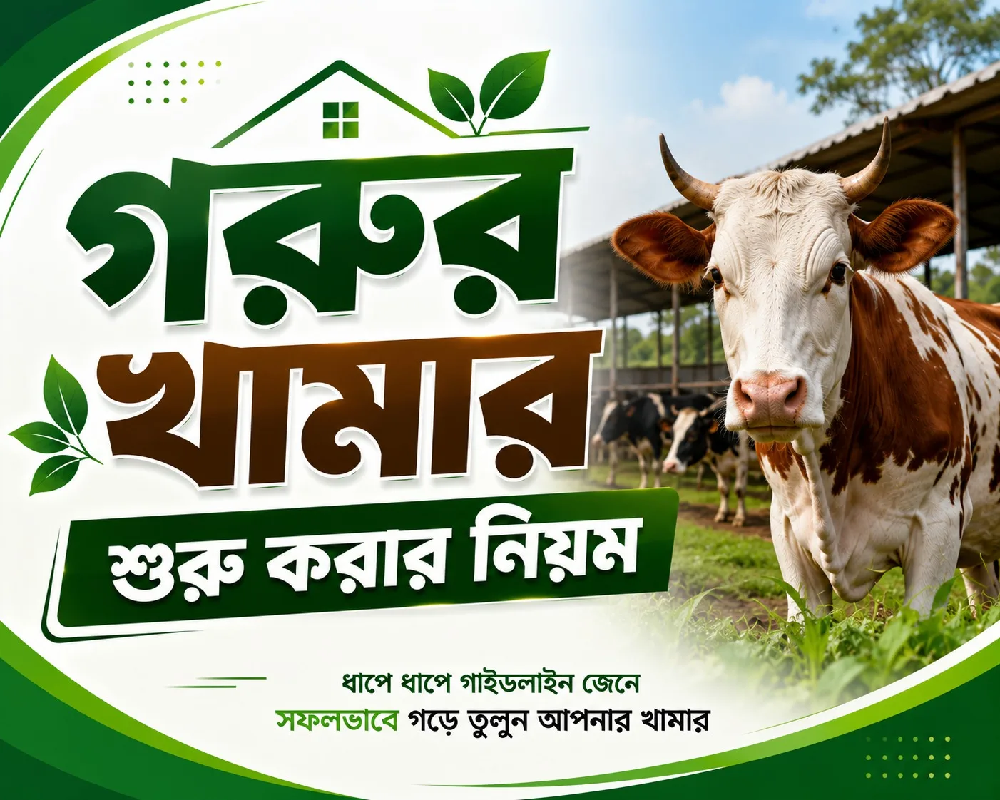 গরুর খামার শুরু করার নিয়ম নতুনদের জন্য