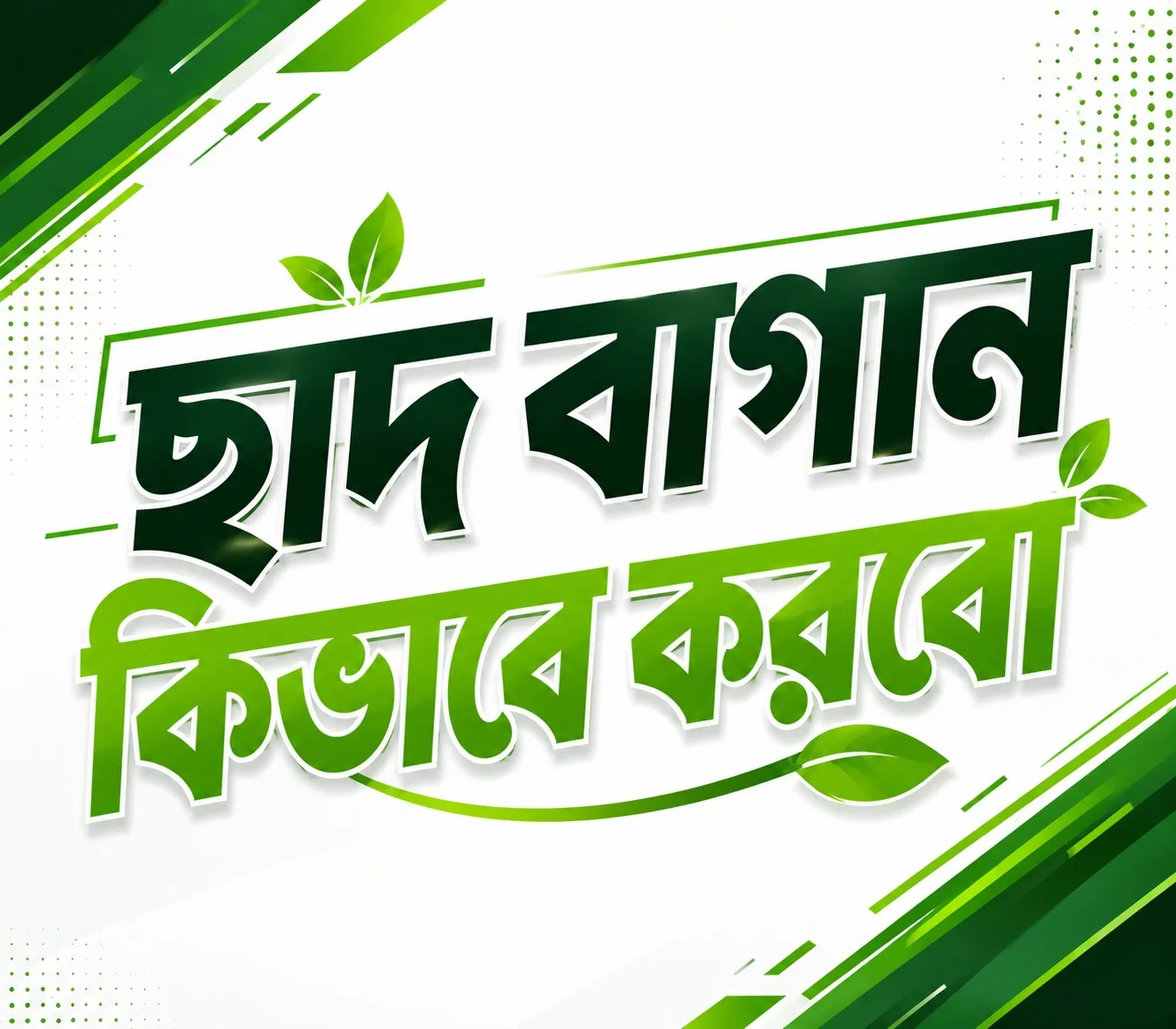 ছাদ বাগান শুরু করার আগে যা জানা জরুরি